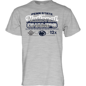 heather gray short sleeve t-shirt Penn State 2024 National Wrestling Champs